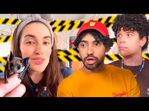 ela resgatou um morcego e colocou o prédio em quarentena