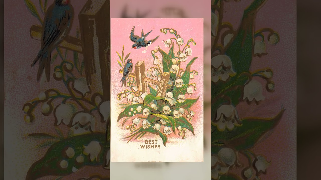 D. Goldie, Divided Back Postcard, Birds and Flowers, 1913 Video