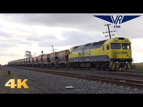 Passenger and Freight Trains at Summerhill Rd: Australian Trains in 4K
