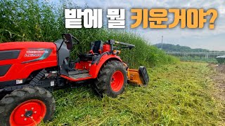 [귀농 5년차 형씨] 트랙터 제초기 작업 방법 귀농 하실분들 꼭 보세용~