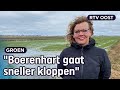 Boerin Mariska is op tijd klaar voor de weidevogels | RTV Oost