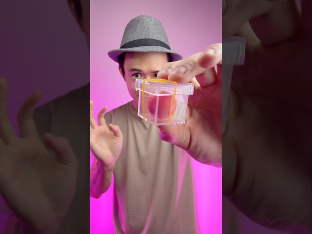 Vídeo relacionado con Box Magic Kids Magible - Magician Props Changeble Box | Girar En Bola