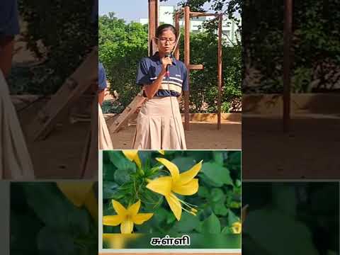 99 Flower Names in Tamil by Srisha | Ananite Talent | Anan International School | Best CBSE School