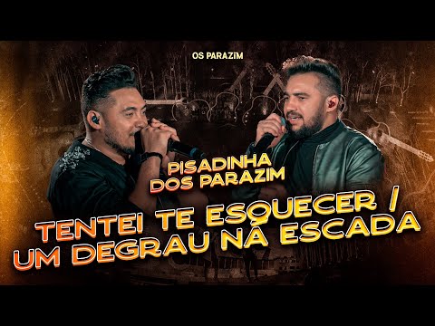 Os Parazim - Tentei Te Esquecer / Um Degrau Na Escada (Pisadinha dos Parazim)