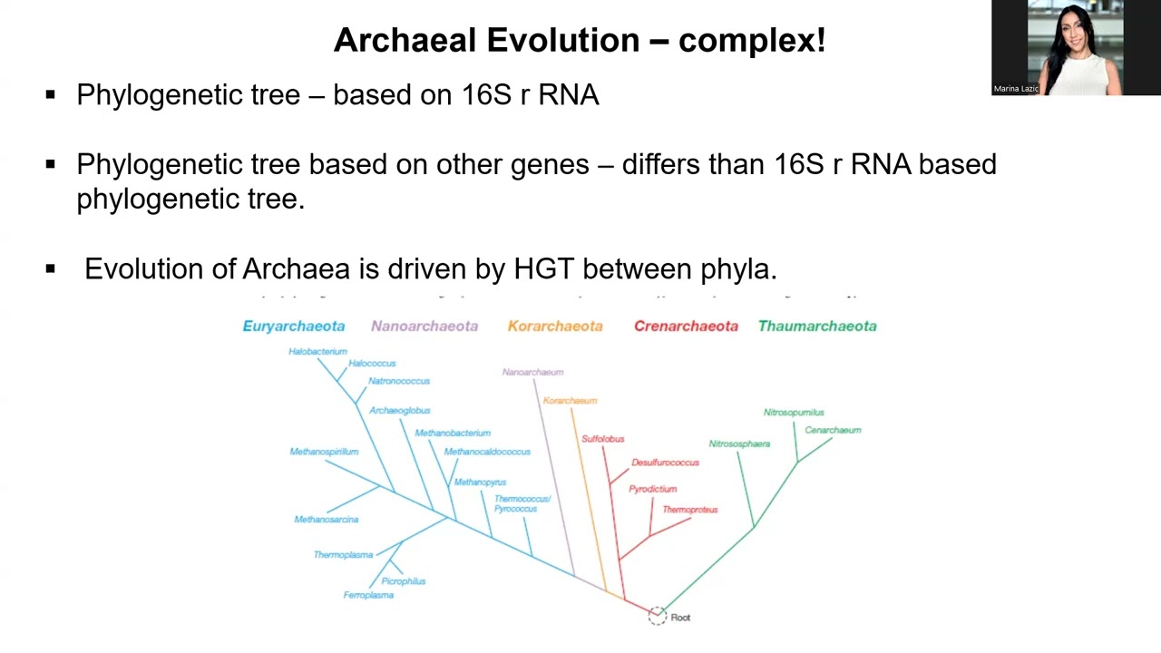 Unit 6 Lectures 15 and 16 Fall 2024