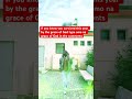 Celebration Music Inspirational Gospelmusic Hallelujah Omo Na Grace Of God Eugene Martins