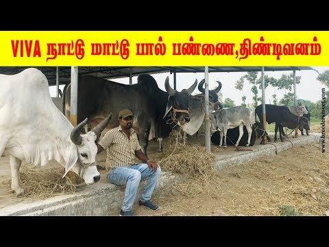 download lagu mp3 mp4 Viva Farms, download lagu Viva Farms gratis, unduh video klip Viva Farms