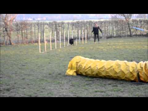 Jarní agility trénink | 10.3.2015