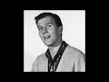 PAT BOONE | Fascination | 1959