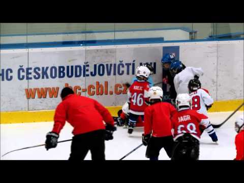 Dárius Krejčí , trénink v Pouzarově centru, leden 2016