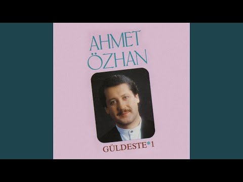 Şu Benim Divane Gönlüm