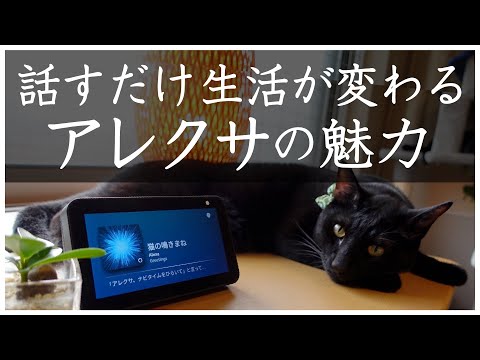Amazon Echo: これらの機能は秋に最適です