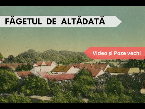 Făgetul vechi, de altădată / The Old Făget of Yesteryear