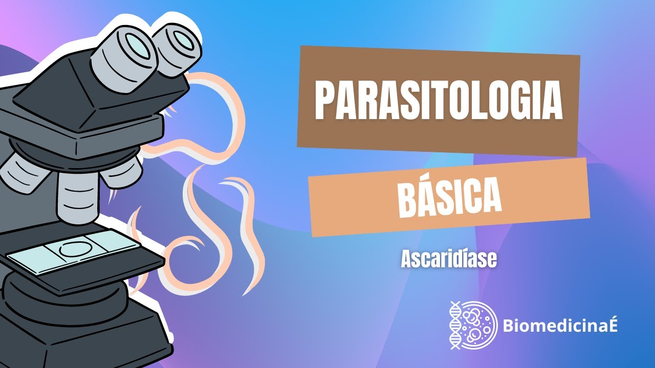 ASCARIS LUMBRICOIDES: Ascaridíase | Parasitologia Básica