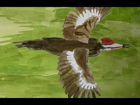 swarm of bugs fear animation