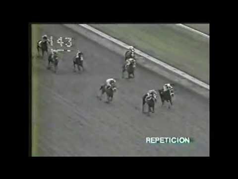 DR. ZEQUEIRA - COPA GOBERNADOR 1995