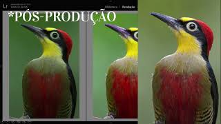 O que é uma foto BOA- Parte II