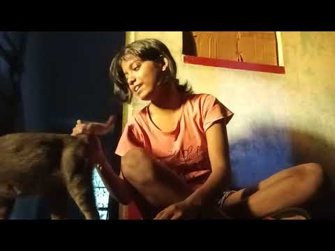 Greyie pays a visit to Shreya!🐈