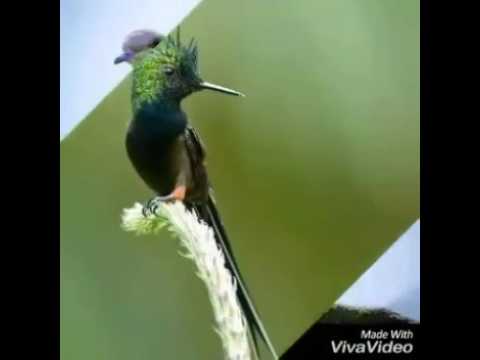 Hino É bom lembrar que somos dependentes pequenos e carentes