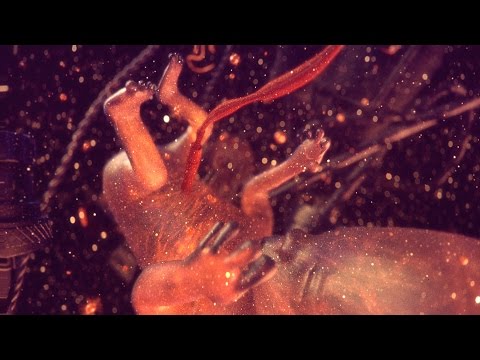 Atella x Frøder - Closer To Life (Official Video)