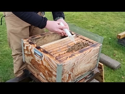 oxalsyrebehandla din bikupa