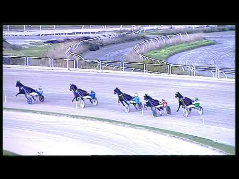 Trotto 16/10/2020 - 2ª prova di qualifica