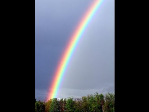 Genesis 8 and 9 Noah And His Sons