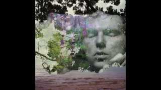 Tupelo Honey: Van Morrison (for Ingrid)