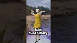 Download lagu Tarling manuk kepudang #video #tarling #dangdut #cirebonan #karaoke #live #shortsfeed mp3 Download lagu Tarling manuk kepudang #video #tarling #dangdut #cirebonan #karaoke #live #shortsfeed mp3
