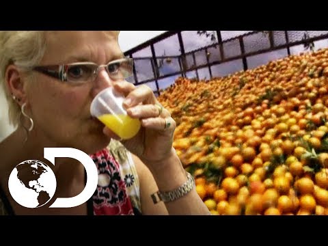 , title : 'Dentro de una fábrica de jugo de naranja | ¿Cómo lo hacen? | Discovery Latinoamérica'