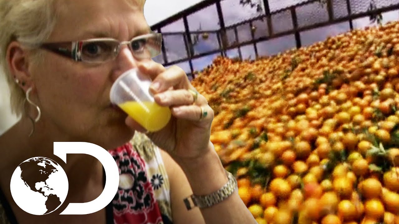 Dentro de una fábrica de jugo de naranja | ¿Cómo lo hacen | Discovery Latinoamérica