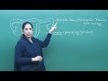 CBSE Biology Class 10th 5 Golden Sample Questions And Solutions Misostudy