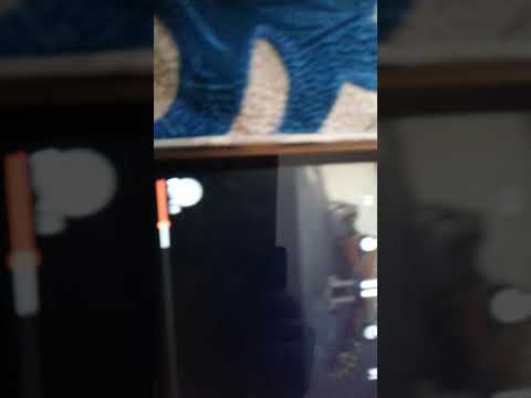 Give me a reason kolya Korobov