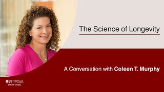 The Science of Longevity: A Conversation with Coleen T. Murphy