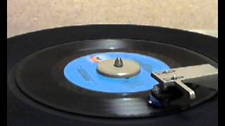 Desert Rose Band - Summer Wind [stereo 45 version]