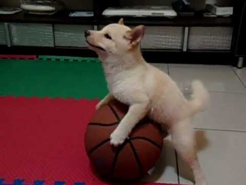 兩個月這樣子搞... 正常嗎?(原發表者:jimmilk7995)(綜合討論)