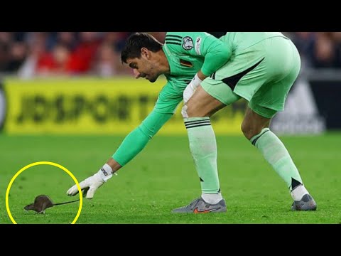 Courtois v Rat During Beligium's Win Over Wales