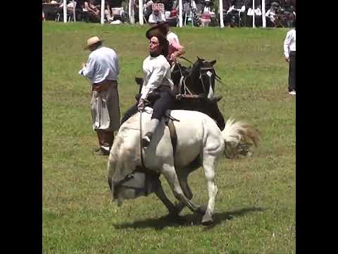 Grupas del Domingo FRENTE a FRENTE en la Final de Villaguay Entre Rios