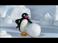 Pingu Does What YOU Don T Pingu 12 Stories In One Trailer 1