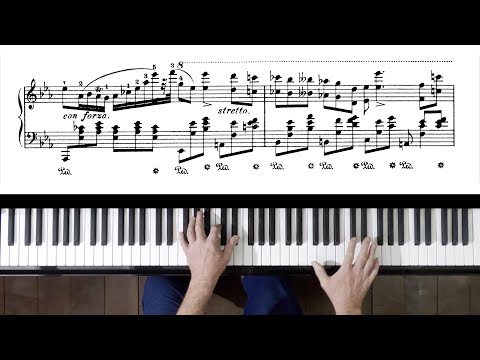 Chopin Nocturne Op.9 No.2 P. Barton FEURICH 133 piano