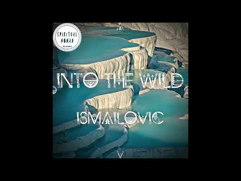 " Into the Wild " Nomadcast 35 By Îsmailovic