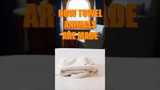 The MAGICAL Towel Monkey #dance #funny #cruise