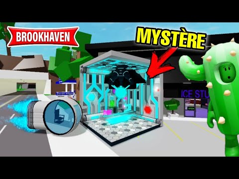 CACTUS DÉCOUVRE UN MYSTERE DE FOU MALADE ! BROOKHAVEN RP - ROBLOX !