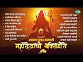 मनाला प्रसन्न करणारी महादेवाची भक्ति