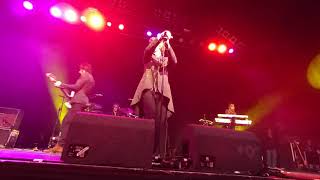 The Psychedelic Furs - We Love You