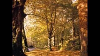 Ricardo Montaner- Dejame llorar