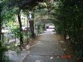 Heriberto Gonzalez Diaz 2009287986