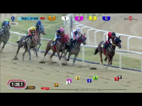 Herald Business Cup 2018 - Cheongdam Dokki