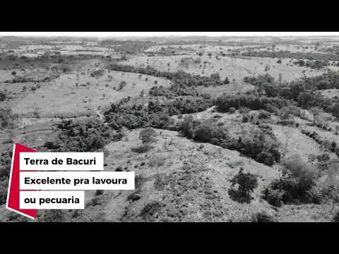  Propriedade Rural à Venda em Novo Horizonte do Oeste📍10 km da cidade / 17 alqueires