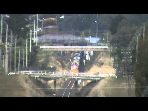 pacific national 8178 with 8180 and 8160 and 8103.